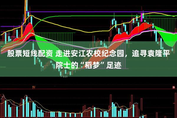 股票短线配资 走进安江农校纪念园，追寻袁隆平院士的“稻梦”足迹