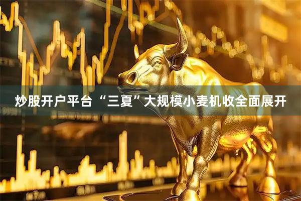 炒股开户平台 “三夏”大规模小麦机收全面展开